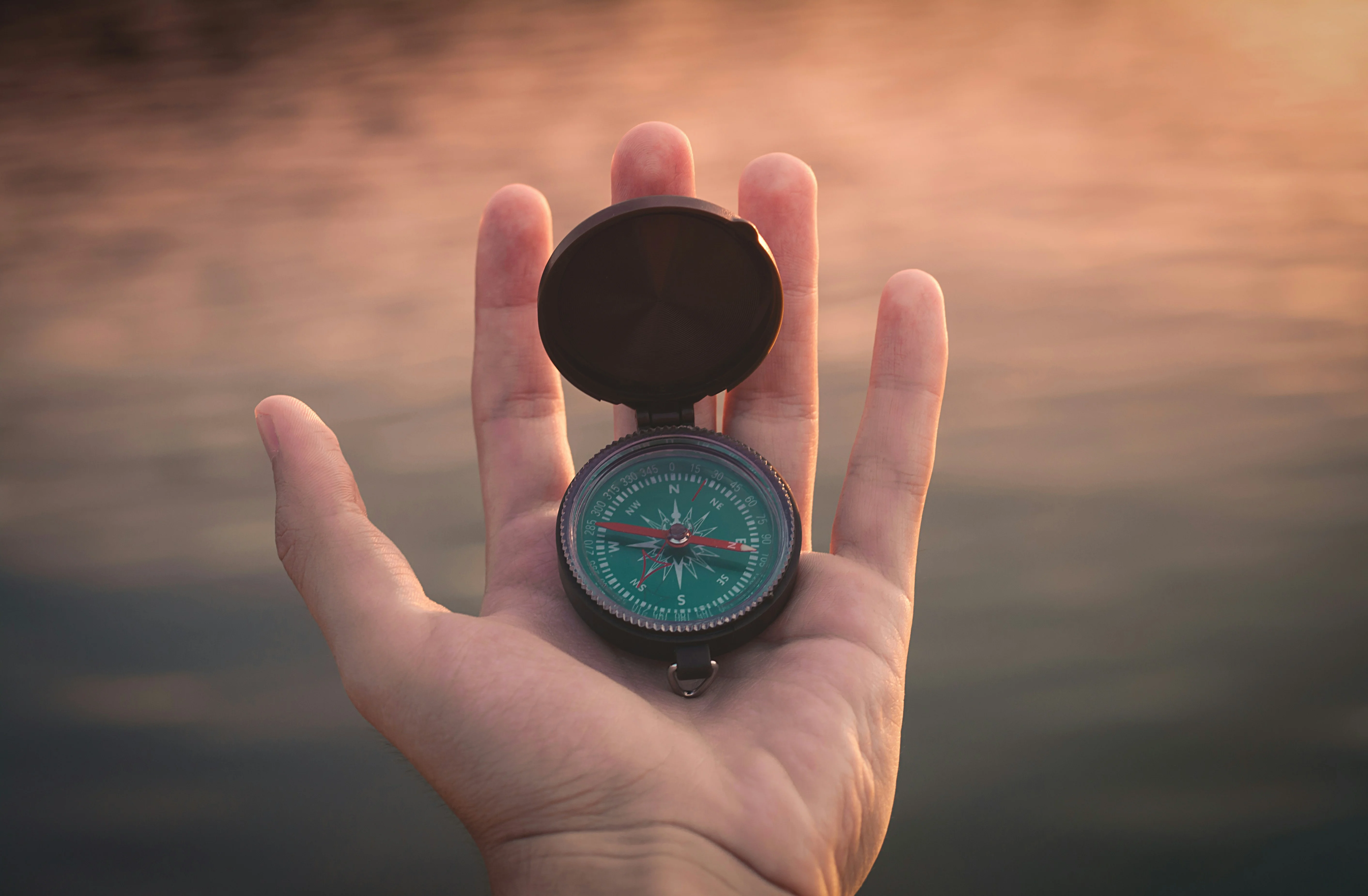 aron-visuals-3jBU9TbKW7o-unsplash Pflichtteilrechner Wie hoch ist der Pflichtteil?